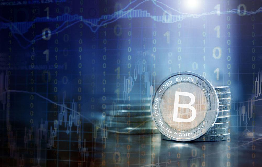 聚名网随便锁定域名_imtoken身份名随便填写_身份证号填写格式