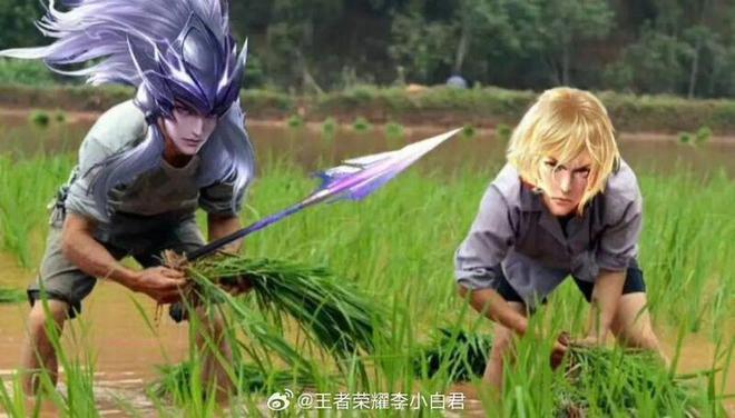chia钱包费用_im钱包手续费怎么这么高_mymonero钱包手续费