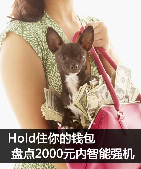 im是什么钱包-IM 钱包：转账支付理财一键搞定，支持多种加密货币，还有智能合约等功能