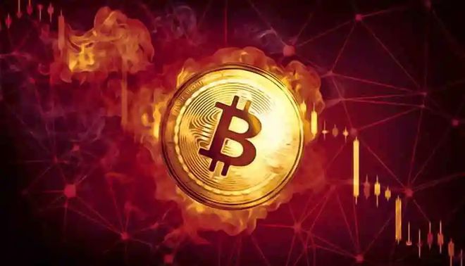钱包使用教程_imtoken钱包使用_钱包使用时间