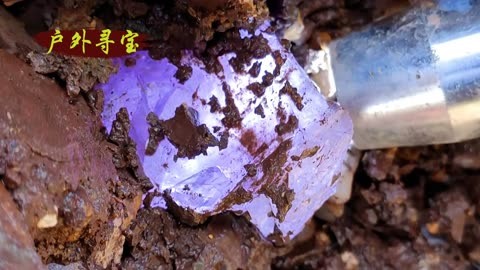 钱包ipos怎么注册_im钱包注册流程_钱包渠道注册