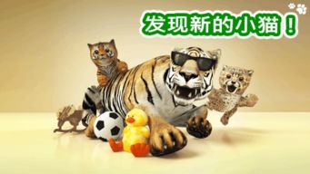 解压猫咪游戏手机安卓2024官方版v1.0.0 