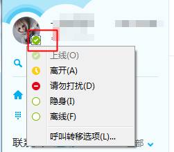 skype表示什么意思,揭秘即时通讯工具的象征意义