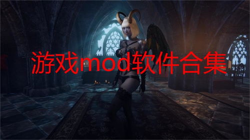 我在3D的名字 