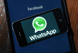 whatsapp如何加人群主,掌握群主邀请技巧