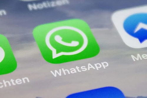 国内whatsapp收不到图片怎么办,国内WhatsApp收不到图片的解决攻略