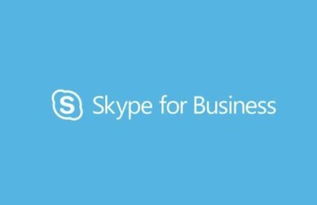 电脑里的skype什么意思,电脑里的沟通利器