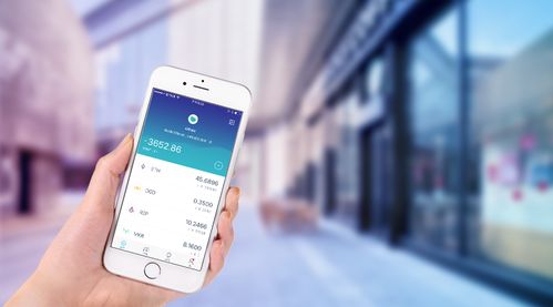 币安shib提现imtoken消失了,币安Shib提现后IMToken资金消失之谜