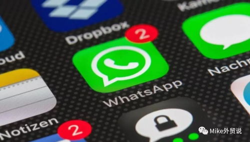 whatsapp怎么退出测试版