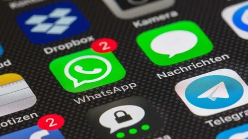 whatsapp怎么注册号,轻松获取专属手机号码